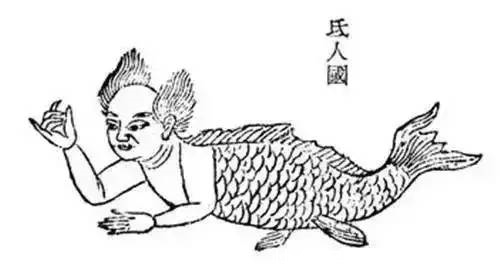陵鱼&南海出现过的鲛人,头似人尾似鱼,鲛人真的存在吗?古书中有记载