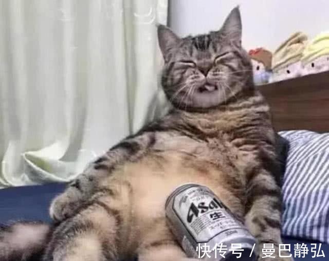 |搞笑动物:去了一趟非洲回来之后,我就变成了一只超黑的狗狗了!