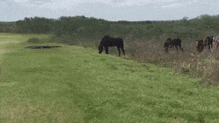 |搞笑GIF:妹子做个保养,弄的跟做木乃伊一样