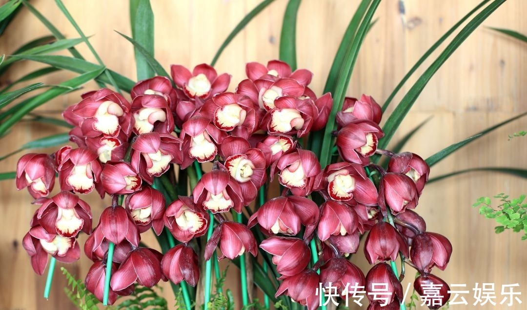 生肖男|这三个生肖男,对爱人疼爱有加,嫁给他们就嫁对了人