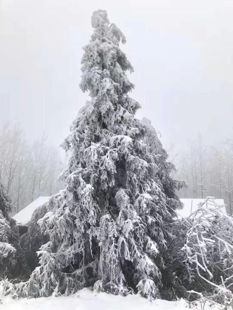 故乡|雪落故乡，让我更认识你——汶川!