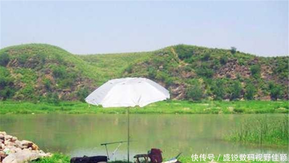 涨水钓草鱼,越钓越欢喜,夏季雨后用这些招数,大草鱼连竿上!