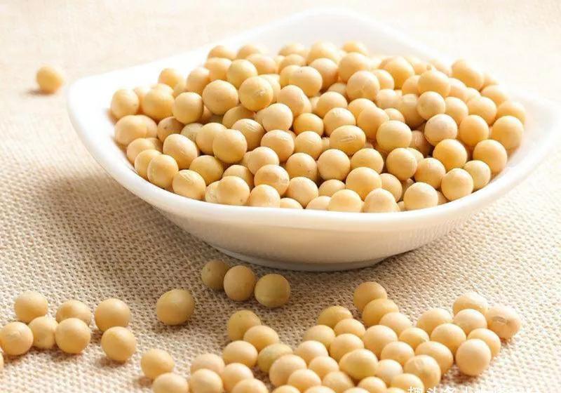 小朋友|入秋后给孩子补钙，记得吃12种食物，钙含量比牛奶高，价格也不贵