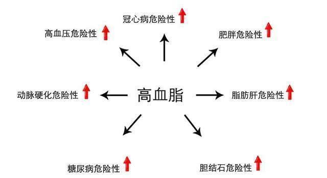 丰隆穴|血脂高的人，眼睛可能有3个症状，若没有，说明血脂控制的还不错