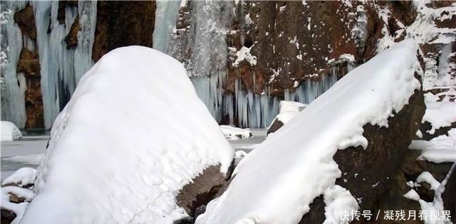 云台山：一曲“c哩c哩”跳出今冬醉美雪景