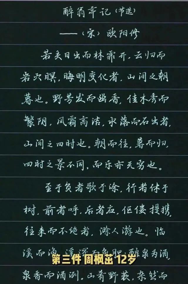 硬笔书法$9岁孩子写出超越年龄的硬笔作品,获第五届硬笔书法特等奖第一名