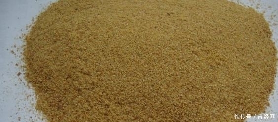 小棒|初夏钓鲫鱼就用这种饵料,没想到,鱼获轻松翻三倍