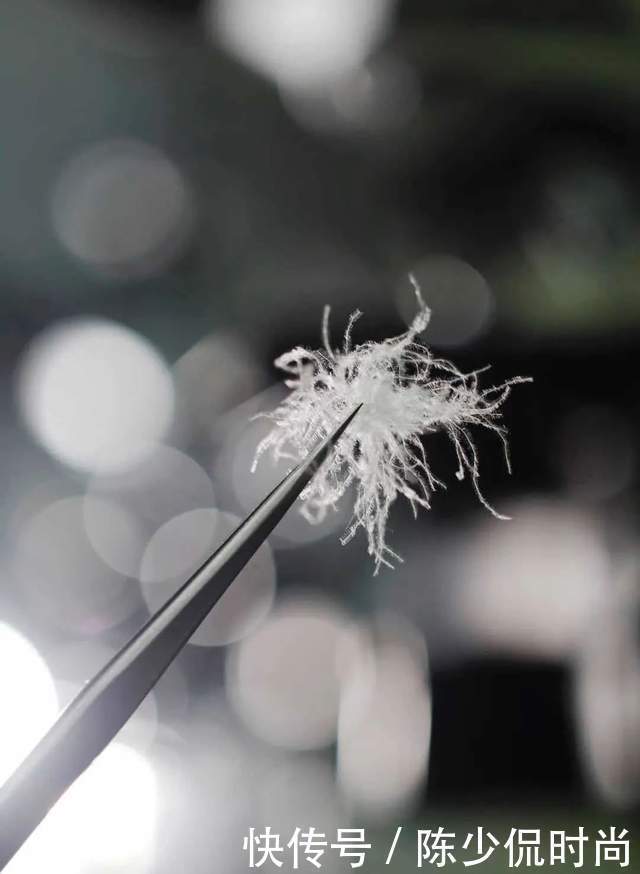 羽绒服|羽绒服盘点种草:含大牌秀场款、选购注意事项