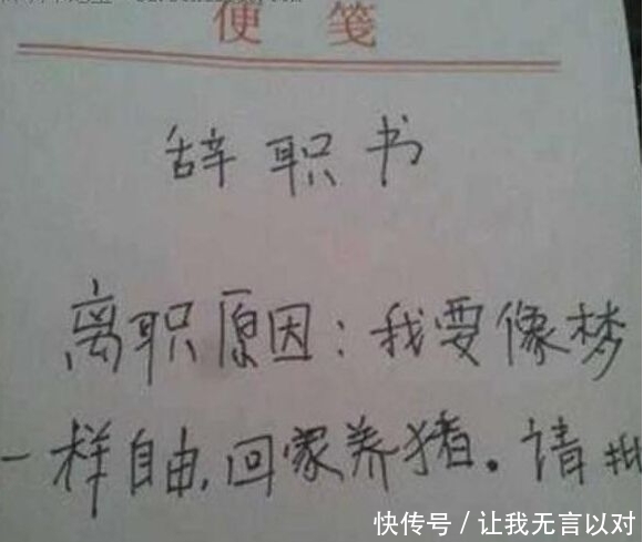 都头疼的离职申请,每一个都没有拒绝的理由