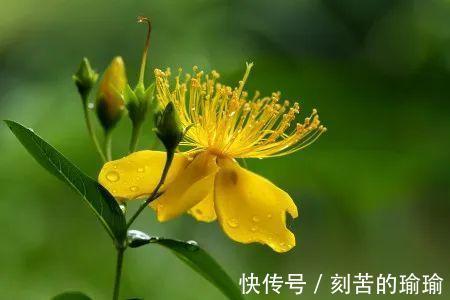 寇准$古人智慧15个机智又有趣对联故事！