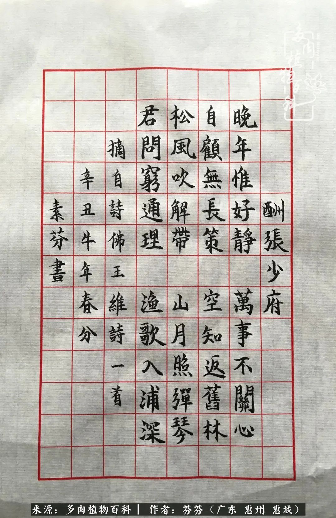 养花|一种爱好就是一种境界，养花养多肉可以培养一个人的心境！