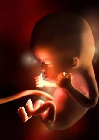 化验科|小宝宝在肚子里掐脐带玩,掐晕了就松开,然后醒了就继续,真调皮