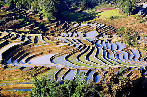 名气|游箐口梯田和哈尼族民俗村,品哈尼族美食,发现村民建房竟然可以不花钱