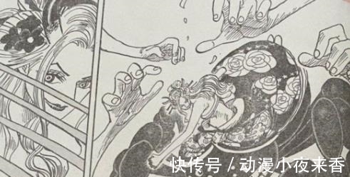 黑玛利亚|海贼王1021话情报图详解 罗宾杀敌一千自损八百 黑玛利亚完全败北