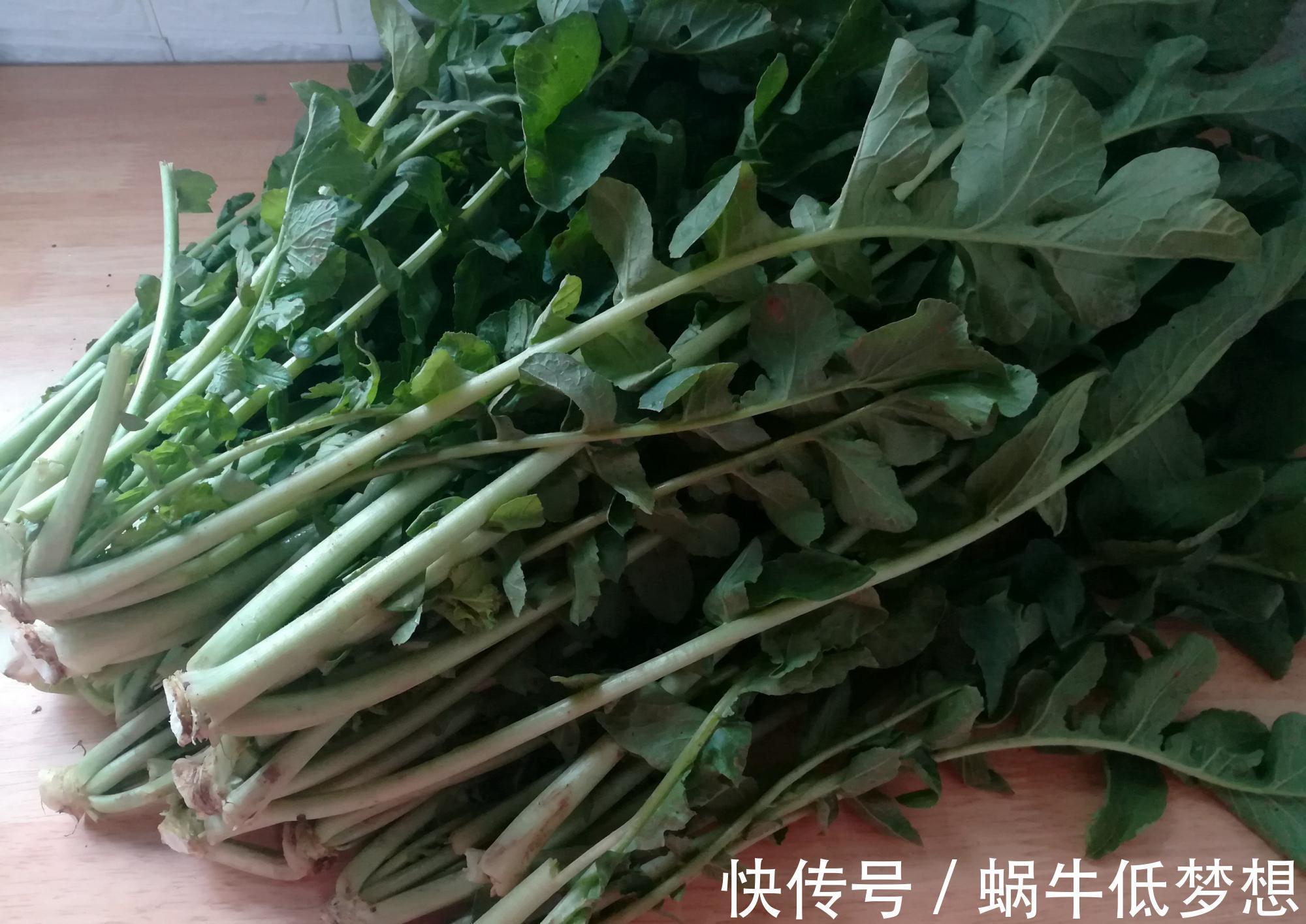 蔬菜中的“人参”，叶子营养极高，10月正鲜嫩，做成酸菜特下饭