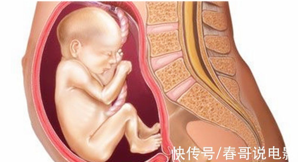 孕妈|胎宝宝的头在哪儿,脚在哪儿?孕妈用手“摸一摸”就能判断出来