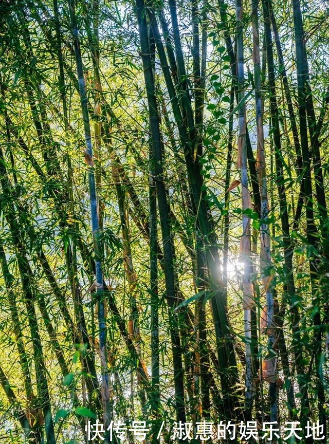 水源地|贺江，肇庆一个超美的水源地附近航拍真的是绝了