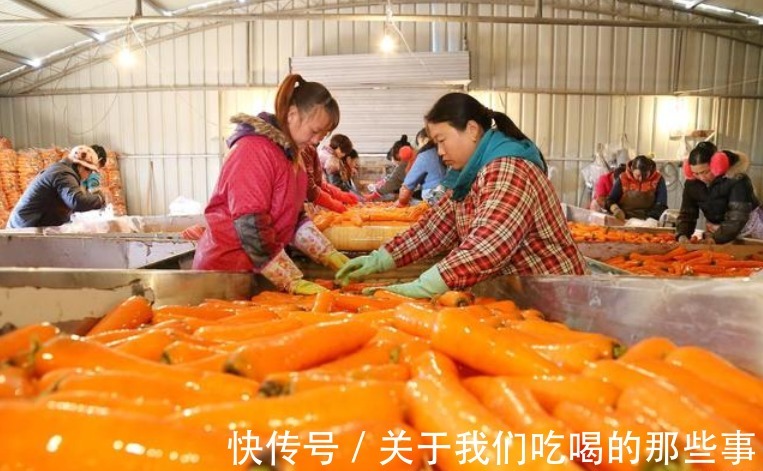 胡萝卜|买胡萝卜，带泥和不带泥哪种好？菜农从不吃这种，很多人却喜欢买