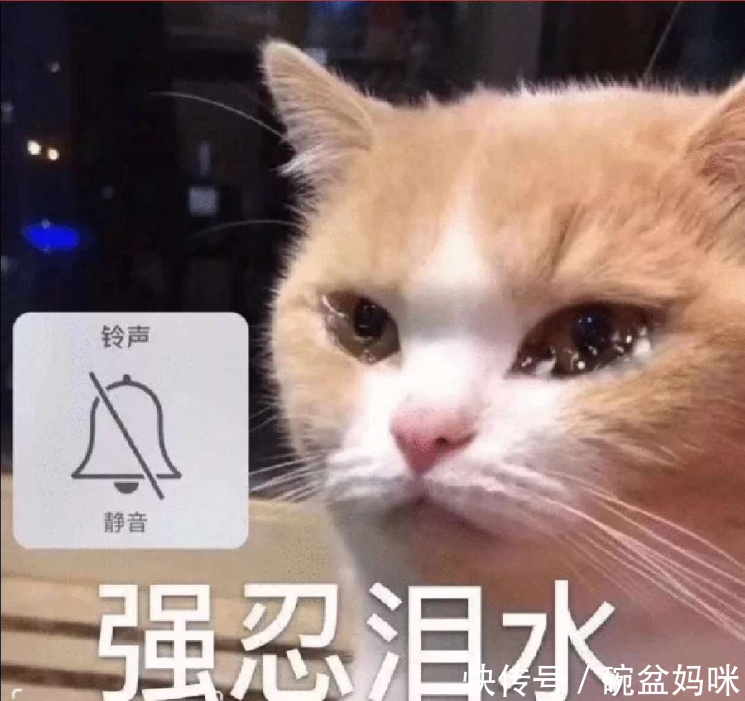 建议|孕期太难了，二胎妈总结的不得不看的人生建议！不要忽视低情绪！