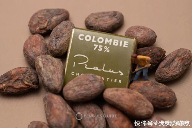 为什么这套巧克力能这么抢手