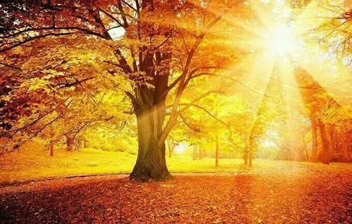 如果太阳熄灭了,我们啥时候会发现不是8分钟,而是10000年