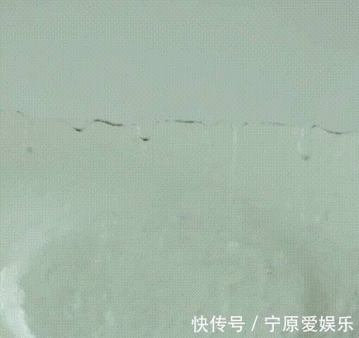 臭味|毛巾酸臭味从何而来别再用“臭毛巾”擦脸了!快来看看毛巾多脏