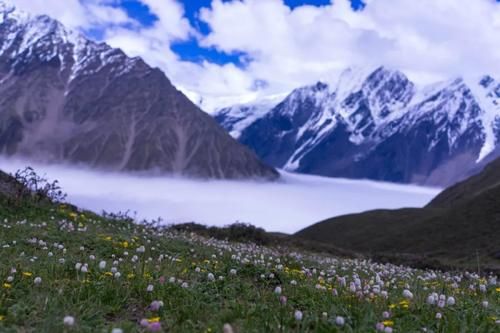 油菜花|如何以最近的距离与贡嘎雪山相遇？