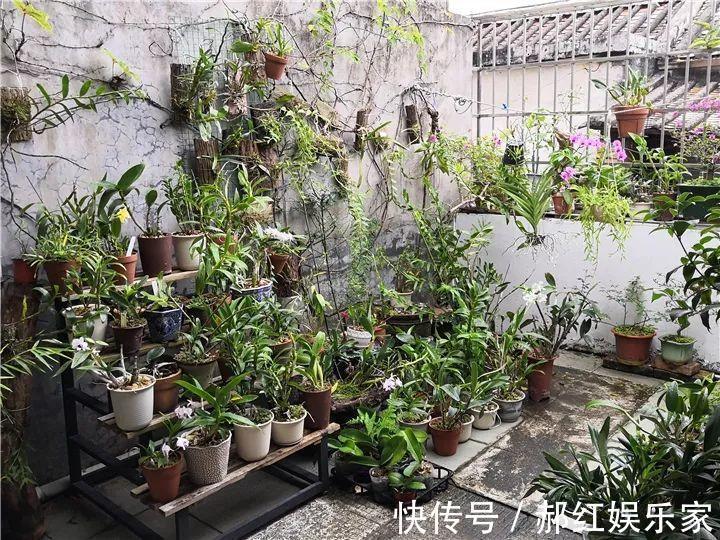 施肥|10个养花的坏习惯,赶紧改,不然真是浪费钱!