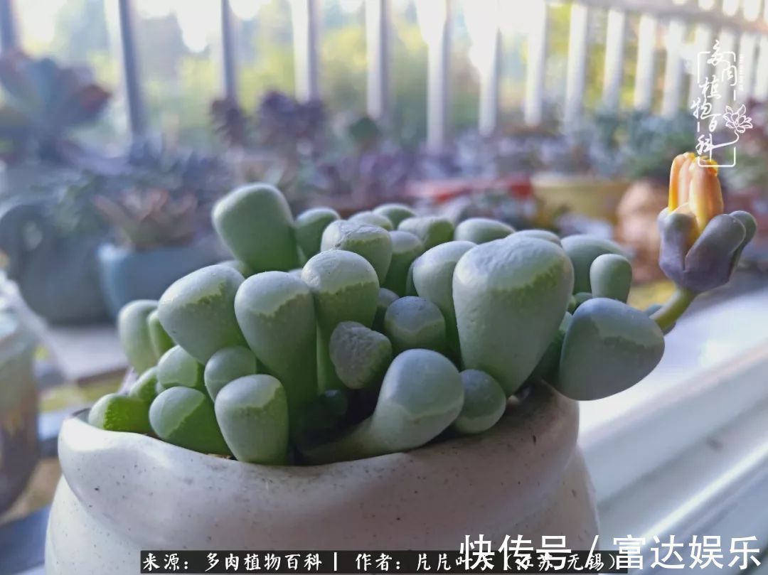 养肉路上，累并快乐着！时光不语，静待花开！