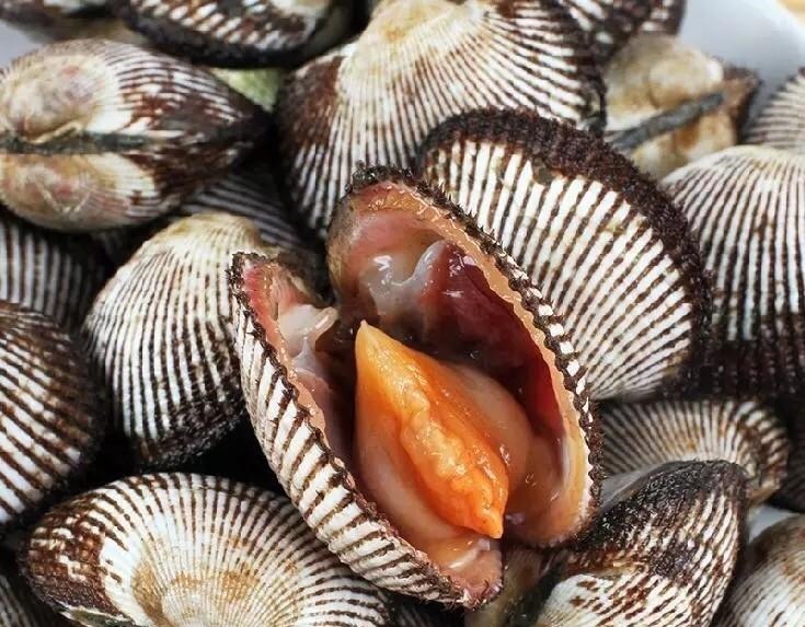 2种海鲜寄生虫“扎推”，鱼贩子从不吃，偏偏很多人爱买