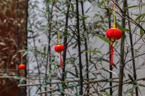 华阳老街拐角处，这间名为“庆阳书屋”的老宅有没有惊艳到你？