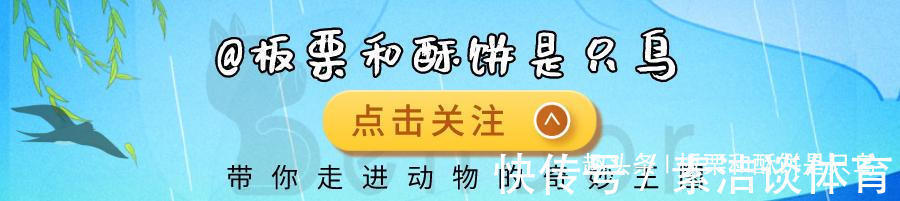 鱼妇&人鱼是真实存在的吗？山海经给了我们答案，人面鱼身现存于世