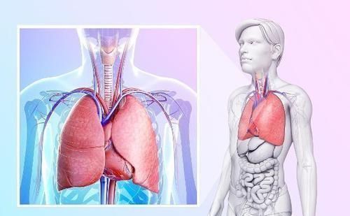 指甲|肝脏好不好,“竖中指”可以告诉你,若没有该异常,肝还很不错