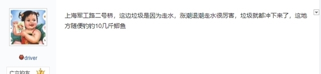 上海一河道鲫鱼大爆发,一天轻松钓上十几斤,有人拄着拐杖去钓鱼