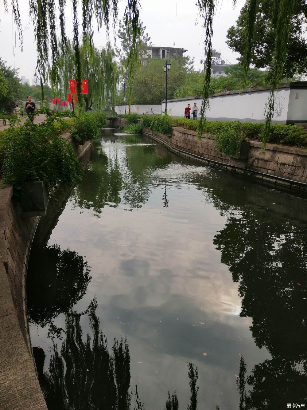 地标|晨游月湖园，误撞童槐家