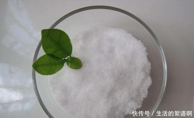 蟹爪兰想要“2次”开花，离不开这个“白粉末”，撒一点，就开花！