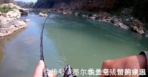 和朋友深山钓鱼,意外钓上“奇鱼”,鱼鳞大,颜色也特别,什么鱼