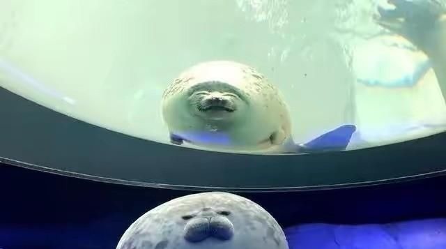 物资|物资宝箱刷新位置,全图共五处,物资堪比空投!