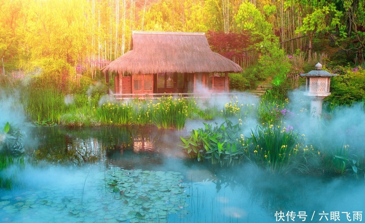 竹叶|一曲清商,故园几度,竹摇清影罩幽窗,两两时禽噪夕阳