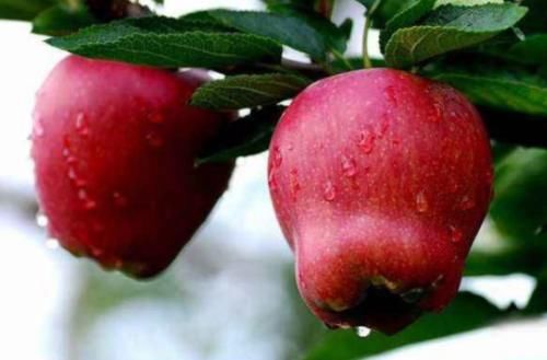 食物|女性担心太早衰老，可以多吃3种食物，美白护肤，越吃越年轻！