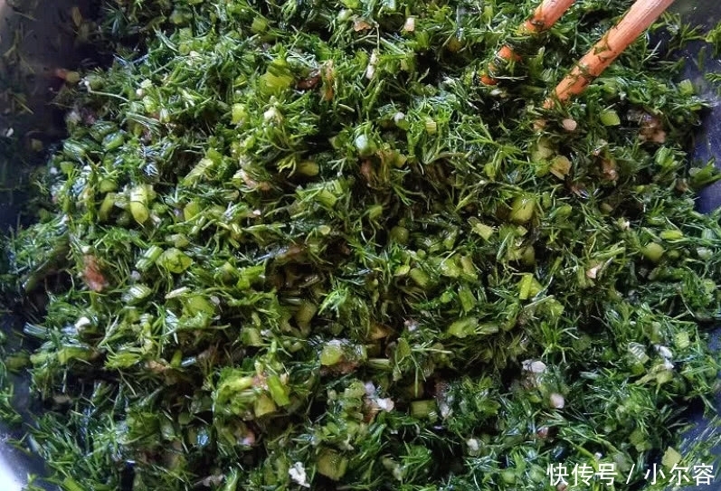 茴香馅|婆婆用此菜包饺子，隔一周吃一次，补水又刮油，冬天常吃长颜值