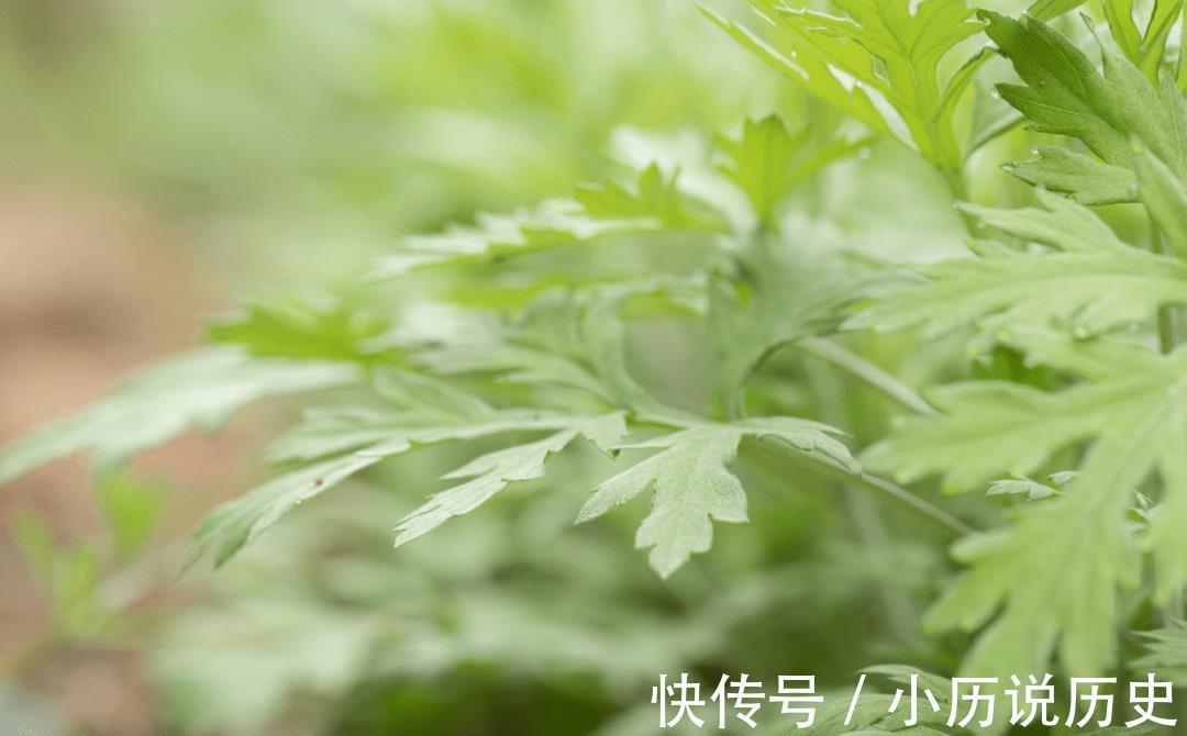 养生|神奇的藏医特色养生疗法——夏季足浴,好处太多了!