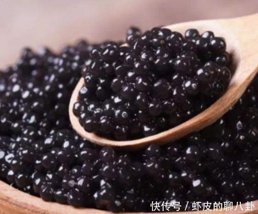 差距|看了俄罗斯的4道“下酒菜”,才知道差距不是一般的大,狠人!