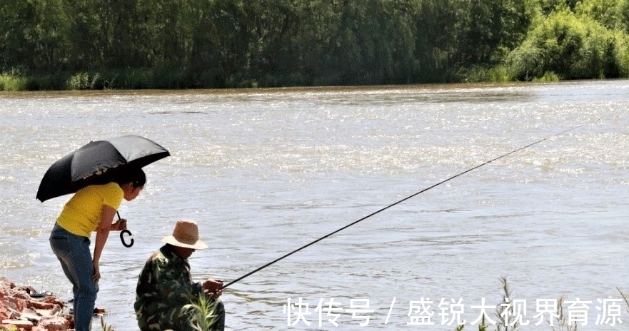 定海神针|钓鱼浮漂一直没信号，不是水里没鱼，而是有些细节没做好