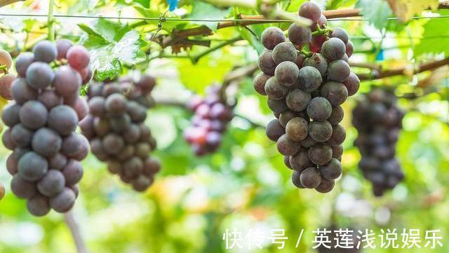 祛湿排毒|湿气最“怕”三种蔬菜,若经常端上饭桌,祛湿排毒,无湿一身轻