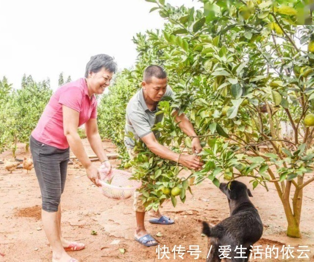 全运会|热搜达20亿人次!全红婵再次创造新纪录,红姐的举动惊动网友