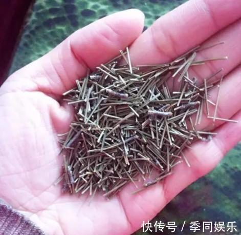 此养花“利器”根本不花钱，路边抓3把，扔进花盆就疯长，猛开花