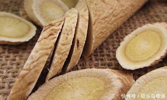 食物|黄芪是“补气之王”,但你不注意2点,反而会害了自己