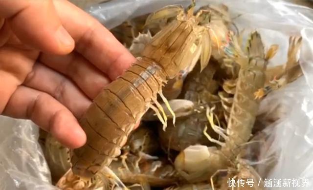 再也|海边人吃皮皮虾,找到这个“拉链”,5秒剥一个,再也不怕扎手了