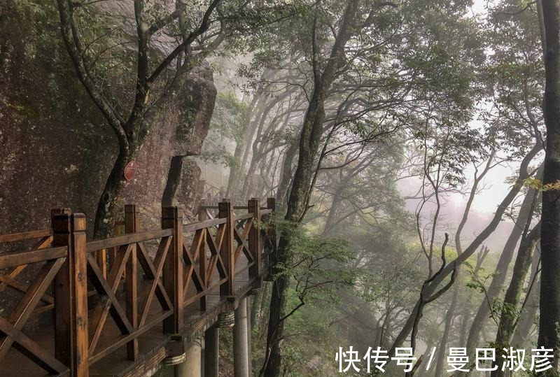 避暑胜地|中国最美的高山草甸，被称为绿色天堂，是著名的避暑胜地